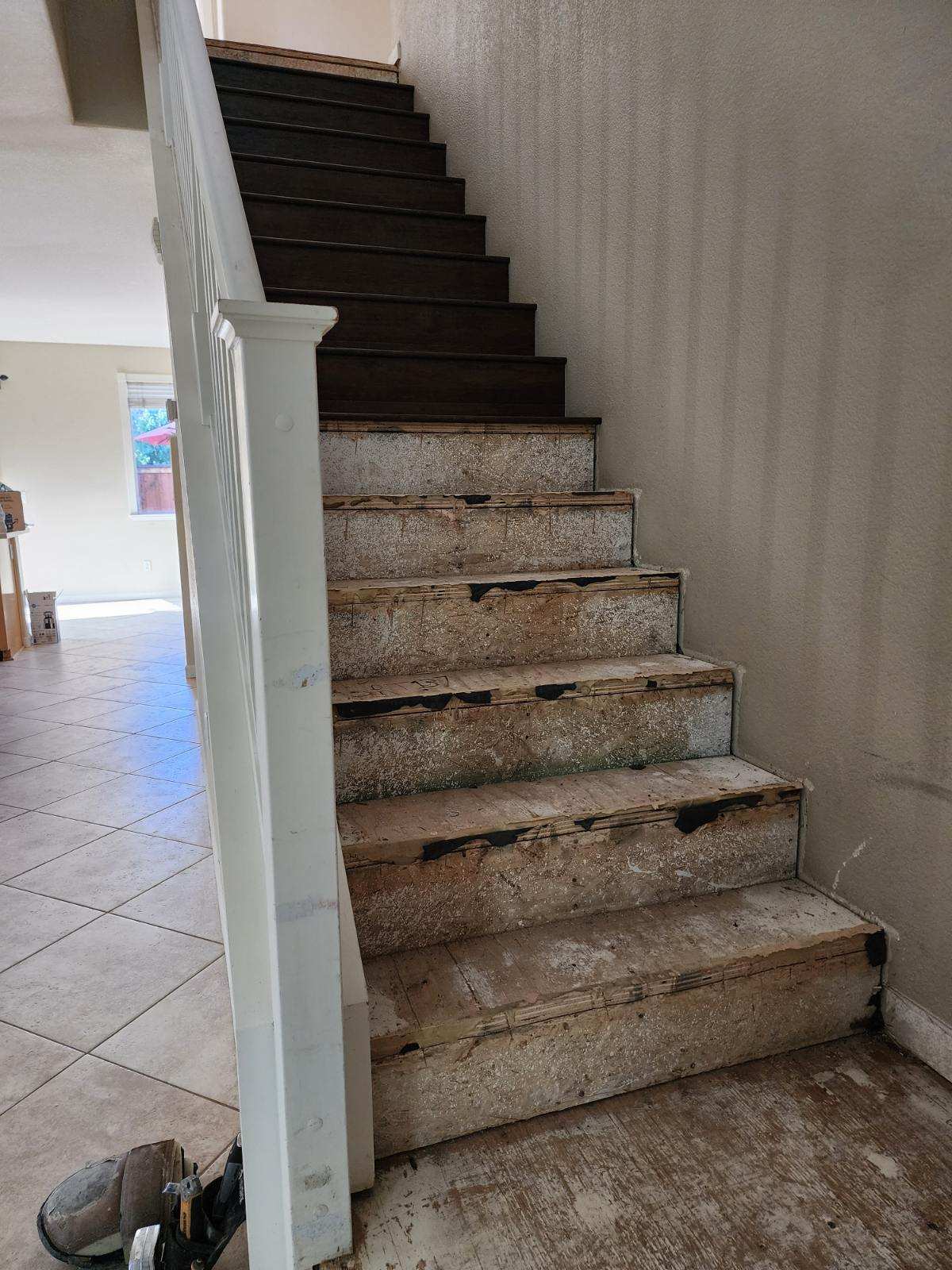 Staircase — Hardwood & White Risers before